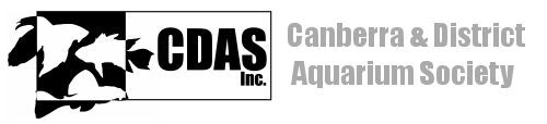 canberradistrictaquariumsociety